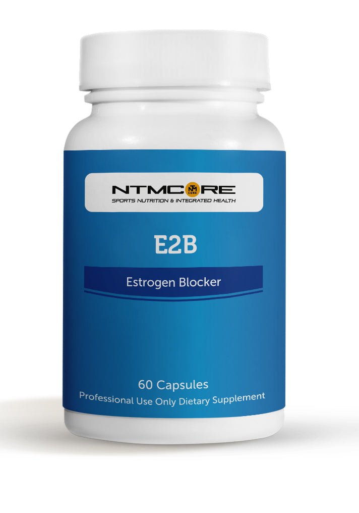 NTMCore E2B